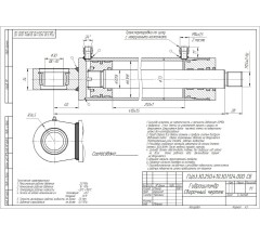 Гидроцилиндр ГЦ 63.30.250.410.30.М24