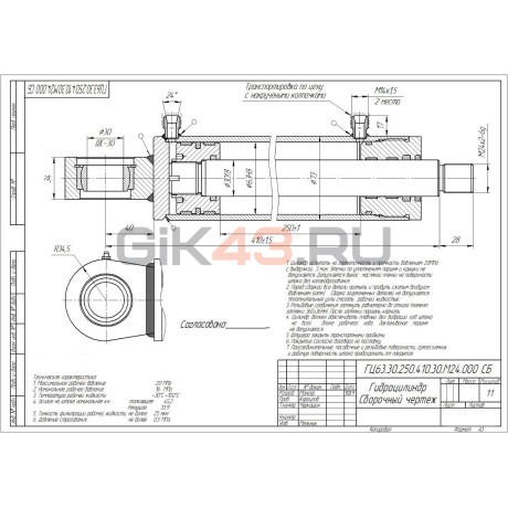 Гидроцилиндр ГЦ 63.30.250.410.30.М24