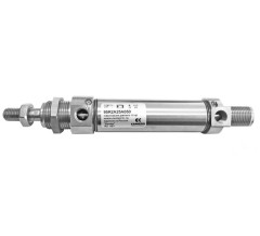 Пневмоцилиндр 95R2A16A060  (D=16 ; ход 60)