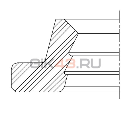 Сальник 13-24-5,5 AS9   NBR