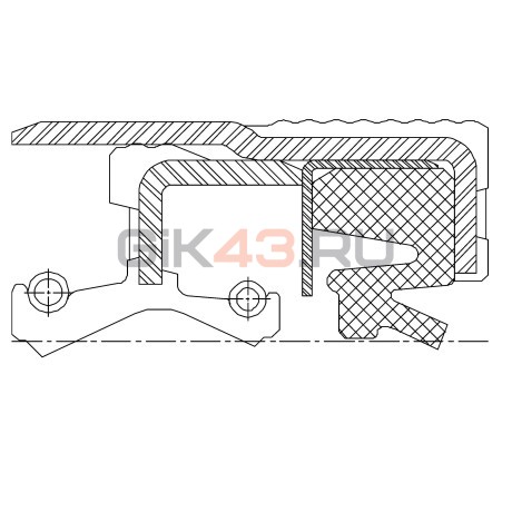 Сальник 46-65-21 CRS20 NBR+TPU