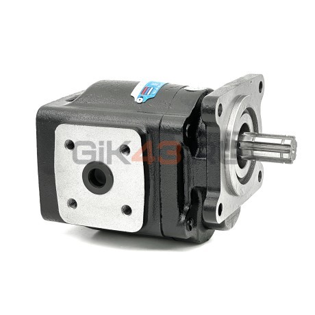 Гидронасос GHD1-82L-B01D20-SS09S08-NP.V1H4