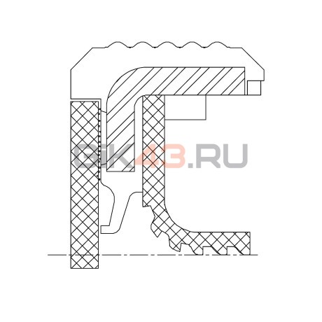 Сальник 98-118-10 PA11L2 ACM