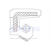 Сальник 18-30-6 SCN1-PL FKM