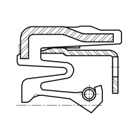 Сальник 36,5-60-15,5 TBCARO1 NBR