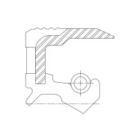 Сальник 48-65-10 TBGRY VMQ