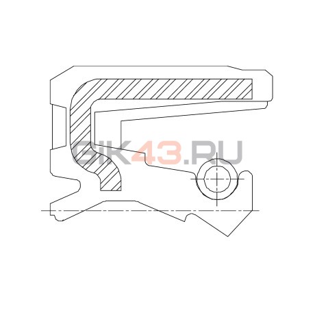 Сальник 19,5-30-5/6 TC4Y NBR