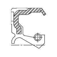 Сальник 100-120-9,5 TXBC1L FKM