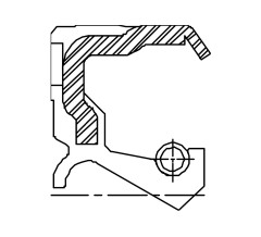 Сальник 100-120-9,5 TXBC1L FKM