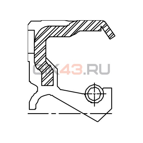 Сальник 100-120-9,5 TXBC1L FKM