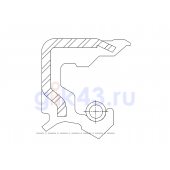 Сальник 18-34-8 TZ3 FKM