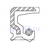 Сальник 16-30-6,2/6,7 TZN11 FKM