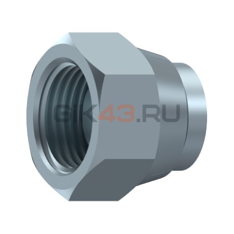 Пробка BSP 1'1/4 (гайка) A107520