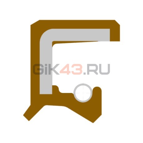Сальник 58-80-10 AS-P FPM