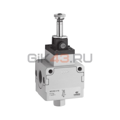 Клапан безопасности MC202-V36