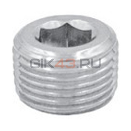 Заглушка X2615 1/2 SS316 Заглушка X2615 1/2 SS316