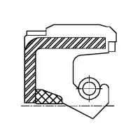 Сальник 24-38-12 CNB1W11 NBR