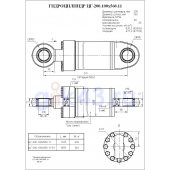 Гидроцилиндр ЦГ 200.100x560.11