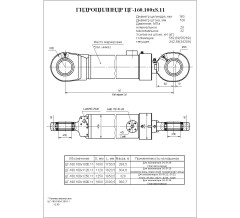 Гидроцилиндр ЦГ 160.100x1000.11