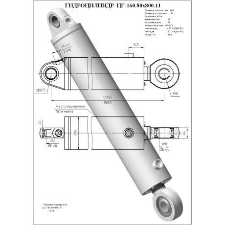 Гидроцилиндр ЦГ 160.80x800.11