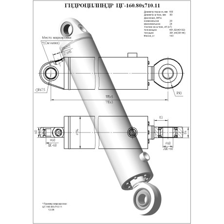 Гидроцилиндр ЦГ 160.80x710.11