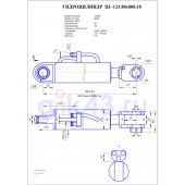 Гидроцилиндр ЦГ 125.80x800.18