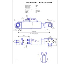 Гидроцилиндр ЦГ 125.80x800.18