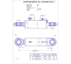 Гидроцилиндр ЦГ 125.80x938.11