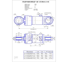 Гидроцилиндр ЦГ 125.80x1400.11-02