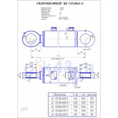 Гидроцилиндр ЦГ 125.80x710.11