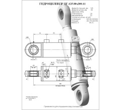 Гидроцилиндр ЦГ 125.80x300.11