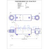 Гидроцилиндр ЦГ 125.60x720.29