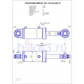 Гидроцилиндр ЦГ 125.60x450.11