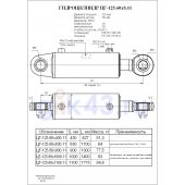 Гидроцилиндр ЦГ 125.60x900.11