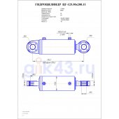 Гидроцилиндр ЦГ 125.50x200.11
