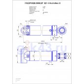 Гидроцилиндр ЦГ 110.63x866.12