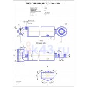 Гидроцилиндр ЦГ 110.63x680.12