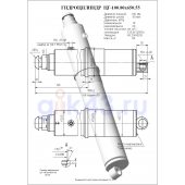 Гидроцилиндр ЦГ 100.80x650.55