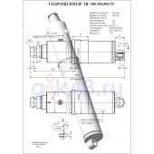 Гидроцилиндр ЦГ 100.80x500.55