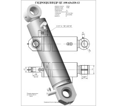 Гидроцилиндр ЦГ 100.63x320.12