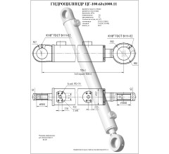 Гидроцилиндр ЦГ 100.63x1000.11