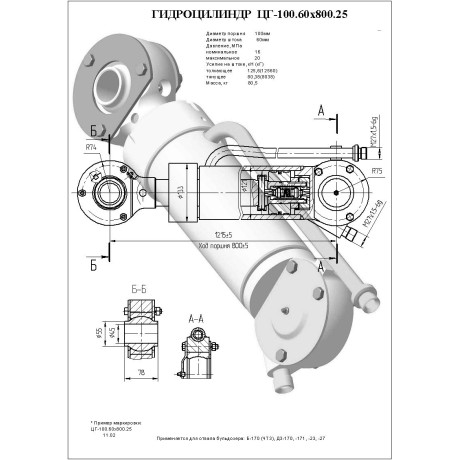 Гидроцилиндр ЦГ 100.60x800.25