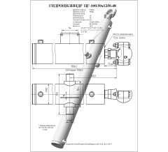 Гидроцилиндр ЦГ 100.50x1250.48