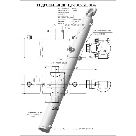 Гидроцилиндр ЦГ 100.50x1250.48