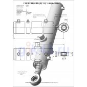 Гидроцилиндр ЦГ 100.50x560.31