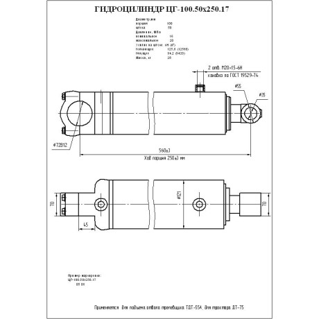 Гидроцилиндр ЦГ-100.50*250.17