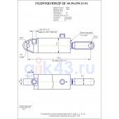 Гидроцилиндр ЦГ-60.30*250.22-01