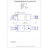 Гидроцилиндр ЦГ1-60.30x250.22-02