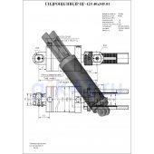 Гидроцилиндр ЦГ-125.40х305.01