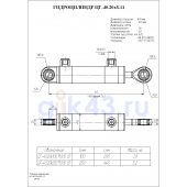 Гидроцилиндр ЦГ-40.20x100.11